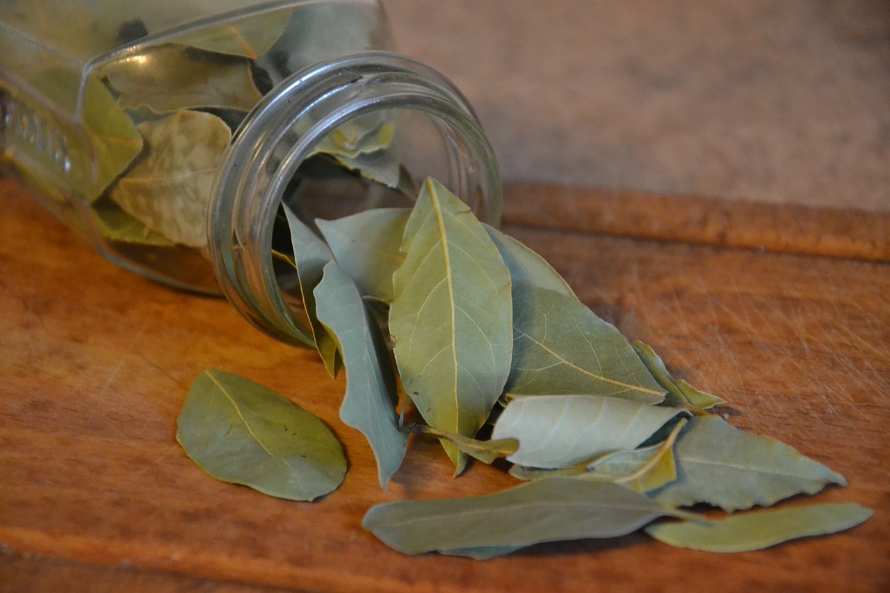 Lagerblad, citron och honung mot influensa, kvävande hosta och slem i lungorna: Skriv ner RECEPT!