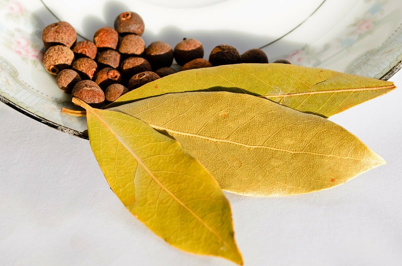 Min mormor sätter ett lagerblad på kylaren i sovrummet: De kommer att eliminera detta PROBLEM i ditt hem!