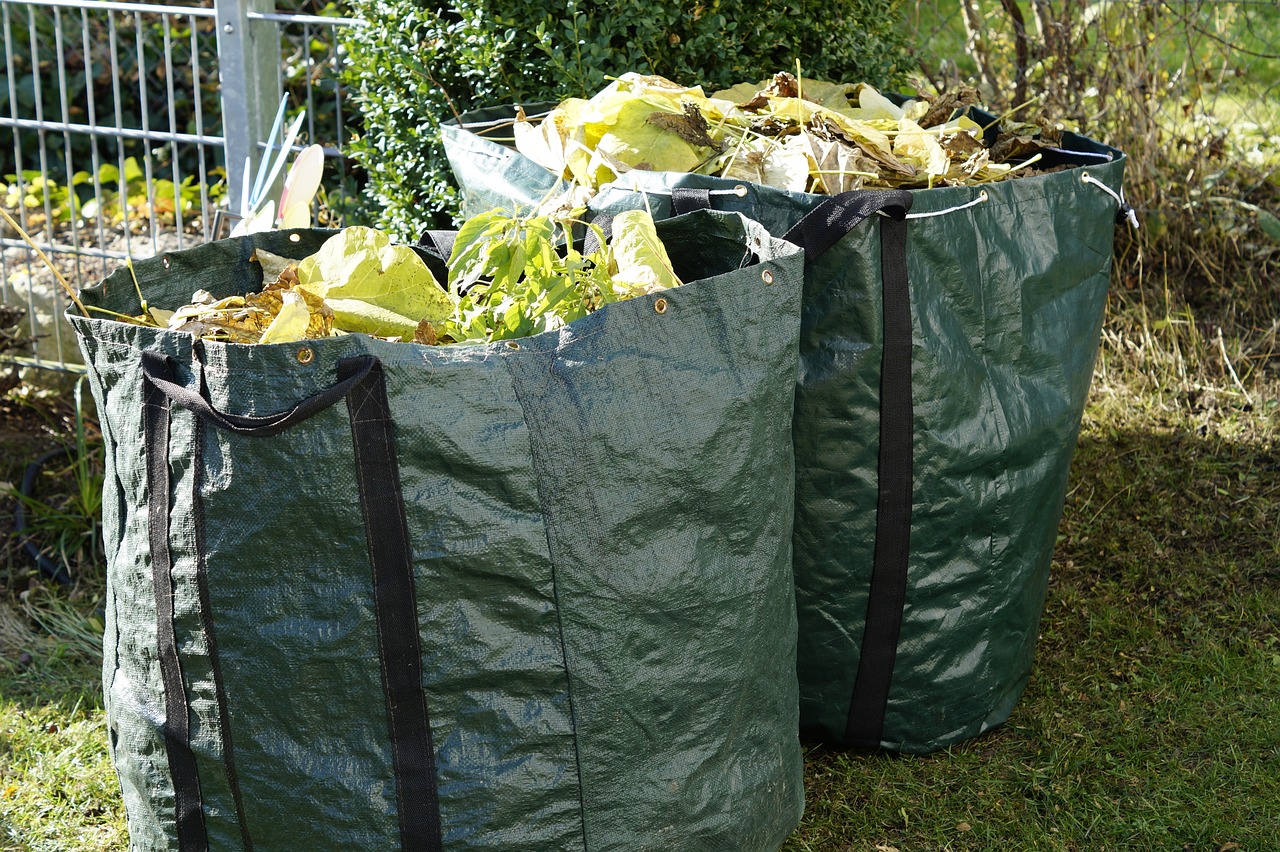 Fröplantor skjuter upp ur jorden på en vecka: En genial förbättringsmedel för att plantera morötter, rädisor och lök i trädgården!